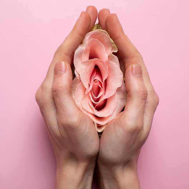 Женски ръце държат роза